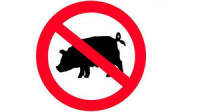Belarus Pig Plague